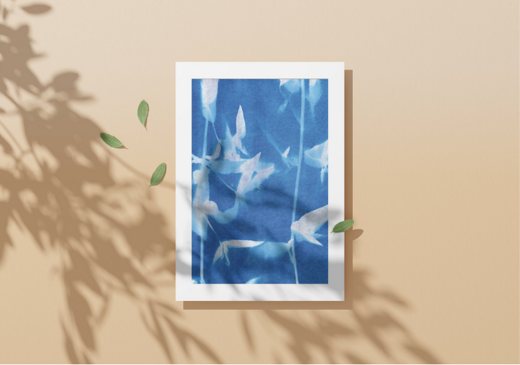 Digital Download - Garden Cyanotypes — Melissa Gonzales